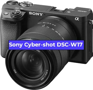 Ремонт фотоаппарата Sony Cyber-shot DSC-W17 в Челябинске